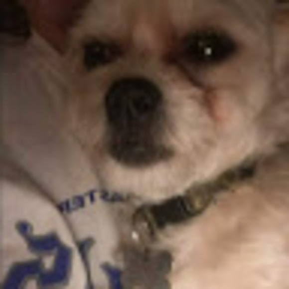 Meet your Posher, Daniella - Picture 1 of 1